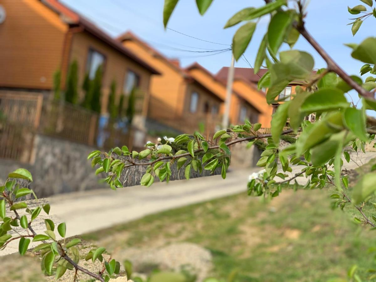 Mini Hotel Solnce Karpat Polyana  Exterior photo